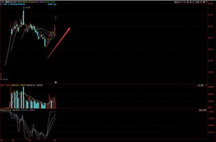福蓉科技 构筑电子产品研发与销售的双轮驱动引擎