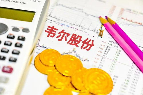 中国十大芯片概念龙头公司概览及其在电子产品研发与销售中的作用